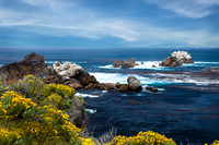 Point Lobos_MG_2220