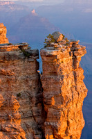 Grand Canyon_MG_6431