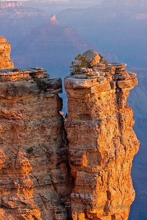 Grand Canyon_MG_6431