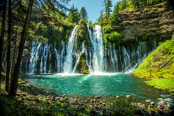 Burney Falls_MG_8808