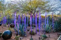 Chihuli_MG_7444