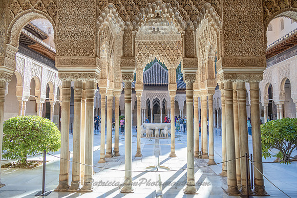 _L6A9178 copy