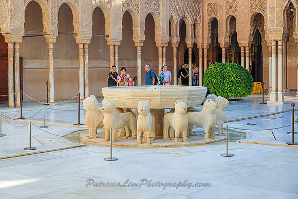 _L6A9185 copy