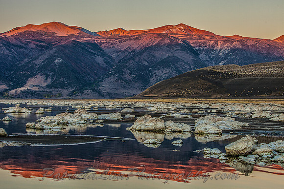 Sunrise at black Point, Mono Lake_MG_5498