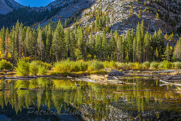 Lundy Canyon Pond_MG_5650