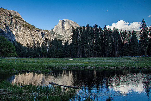Half Dome Reflection on Cooks Meadow
