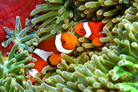 Underwater