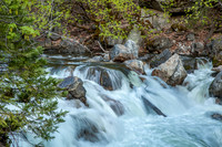 Tenaya Creek_MG_2779