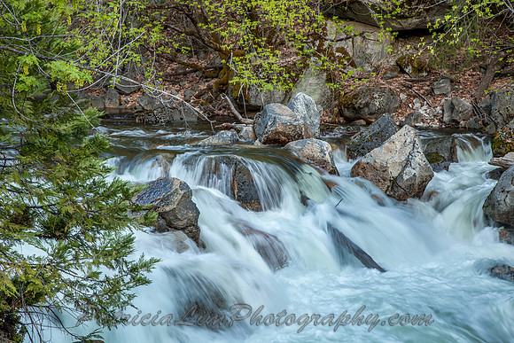 Tenaya Creek_MG_2779