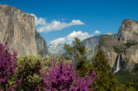Yosemite Valley from Tunnelview_MG_1782