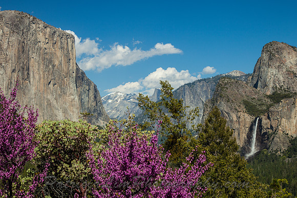 Yosemite Valley from Tunnelview_MG_1782