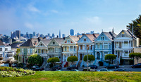 Painted Ladies_MG_7539