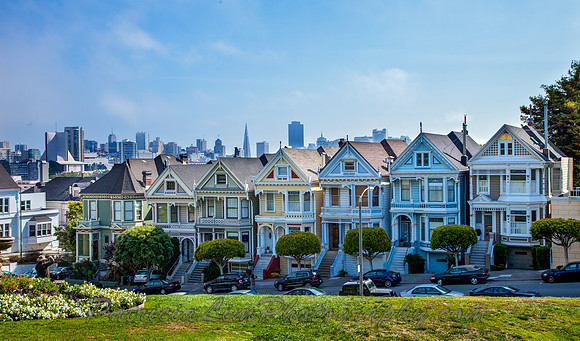 Painted Ladies_MG_7539