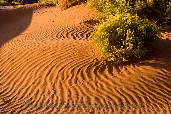 Sand Waves at Monument Valley