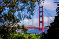 Golden Gate BR_MG_0123