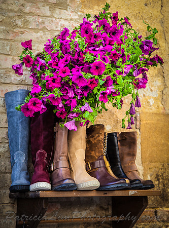Pienza_MG_5829