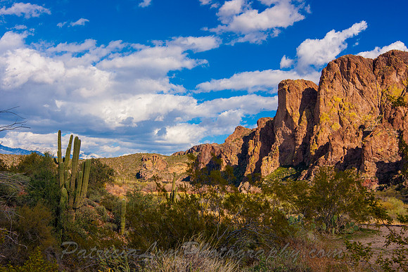 Arizona_MG_0619