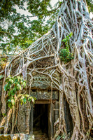 La Proem, Cambodia0U7A2319