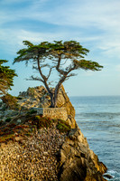 Monterey