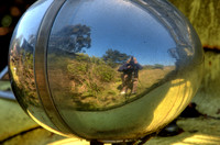 Headlight Reflection_MG_2033