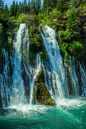 Burney Falls_MG_8712