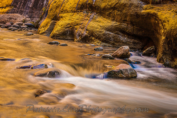 Zion NP, Virgin River Narrows_MG_6415