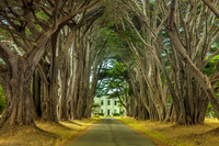 Point Reyes_MG_9035