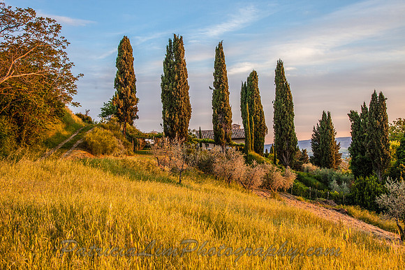 Lucignano Sunset_MG_4485