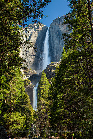 Yosemite Falls_MG_3155