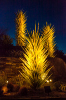 Chihuli_MG_7767