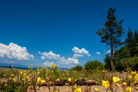 Baldwin Beach Beach, Lake Tahoe_MG_5679