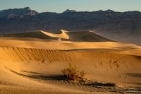 Mesquite Flat Sand Dunes, Death Valley NP_U7A9305