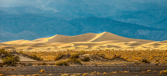 Death Valley, Dunes_MG_3474