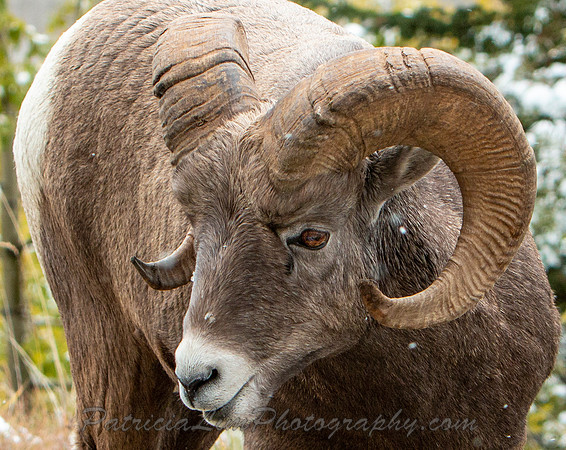 _MG_4669