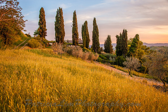 Lucignano Sunset_MG_4500