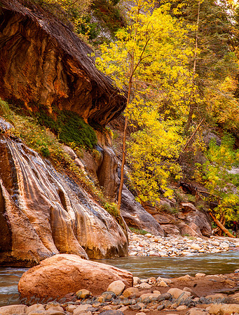 Zion NP, Virgin River, Narrows_MG_6405