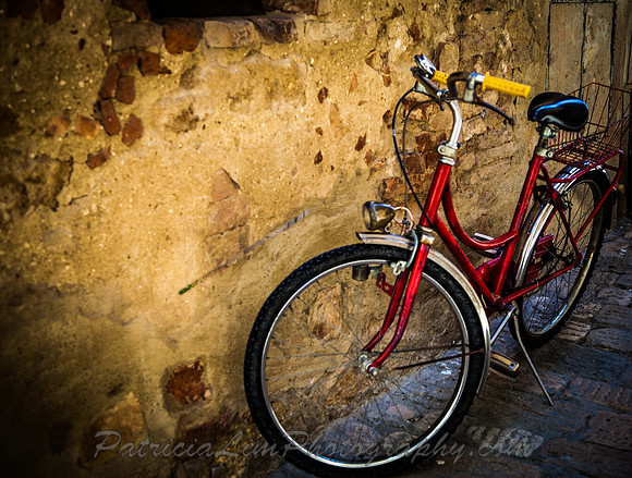 Red Bicycle_MG_5816
