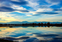 Sacramento Wildlife Refuge_MG_7140