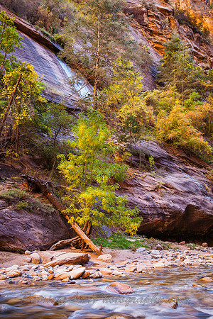 Zion NP, Virgin River Narrows_MG_6448