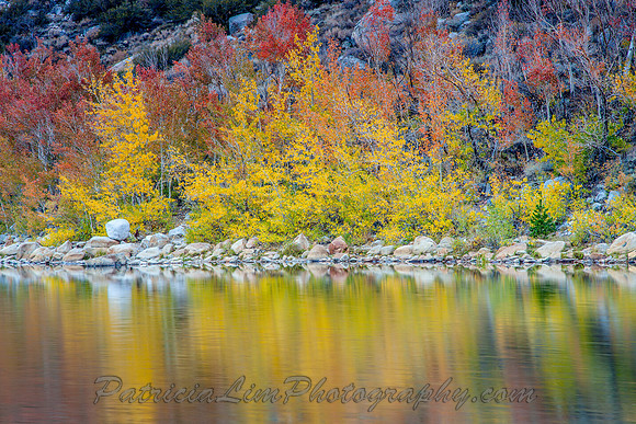 North Lake Eastern Sierras, Fall Reflections_MG_4530