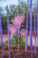 Chihuli_MG_7502