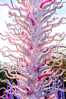 Chihuli_MG_7574
