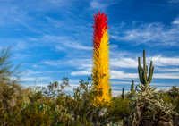 Chihuli_MG_7605