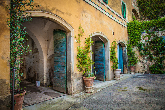 Blue Garage Doors_LucignanoMG_4141