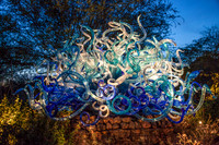 Chihuli_MG_7731