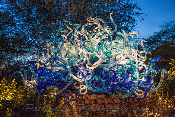 Chihuli_MG_7731