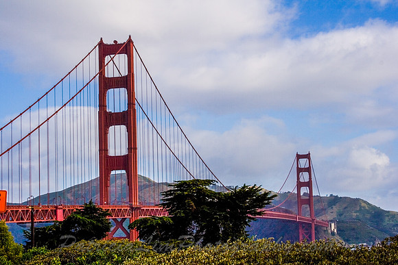 Golden Gate_MG_0111