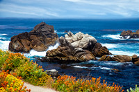 Point Lobos_MG_2231