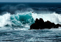Pacific Grove Beach G_0844