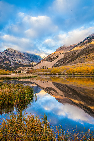 _MG_4544